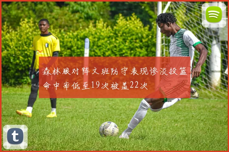 森林狼对阵文班防守表现惨淡投篮命中率低至19次被盖22次