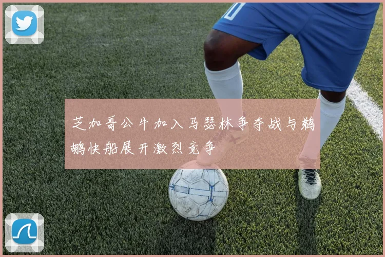 芝加哥公牛加入马瑟林争夺战与鹈鹕快船展开激烈竞争