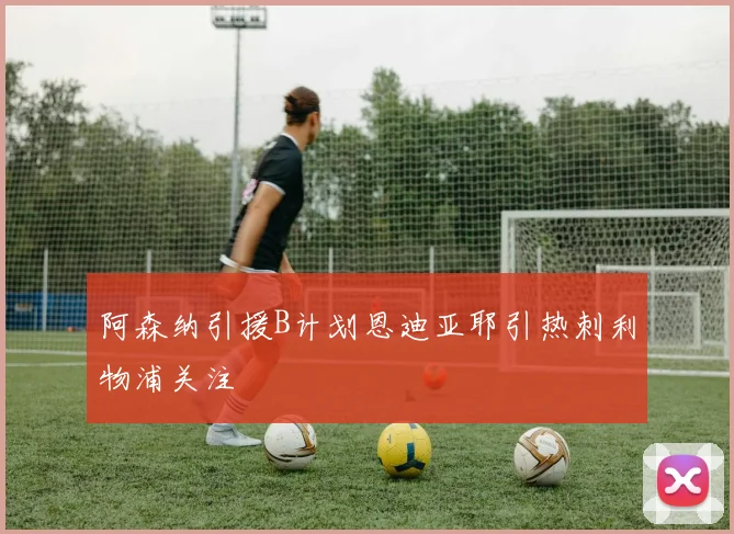 阿森纳引援B计划恩迪亚耶引热刺利物浦关注