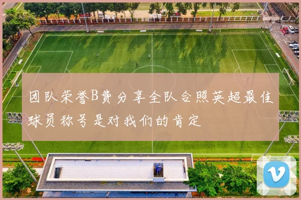 团队荣誉B费分享全队合照英超最佳球员称号是对我们的肯定