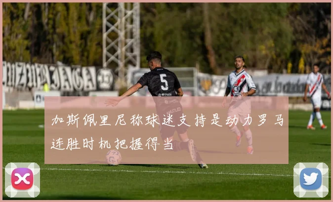 加斯佩里尼称球迷支持是动力罗马连胜时机把握得当